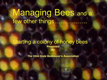 Managing Bees and a few other things…………….. Starting a colony of honey bees Presented By The Ohio State Beekeeper’s Association.