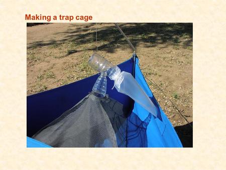 Making a trap cage. You need plastic bottles, wire, string, a plastic bag and tools.
