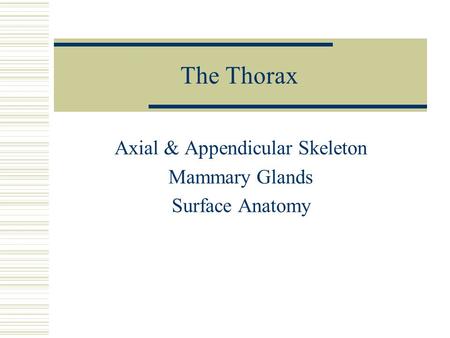 Axial & Appendicular Skeleton Mammary Glands Surface Anatomy