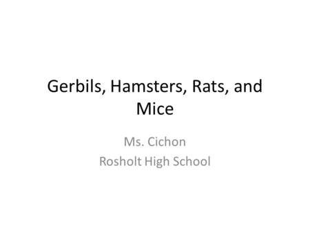 Gerbils, Hamsters, Rats, and Mice Ms. Cichon Rosholt High School.