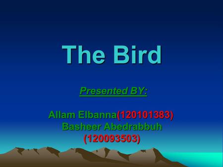 The Bird Presented BY: Allam Elbanna(120101383) Basheer Abedrabbuh (120093503) Presented BY: Allam Elbanna(120101383) Basheer Abedrabbuh (120093503)