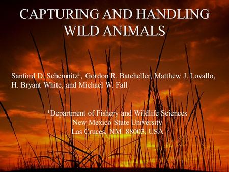 CAPTURING AND HANDLING WILD ANIMALS Sanford D. Schemnitz 1, Gordon R. Batcheller, Matthew J. Lovallo, H. Bryant White, and Michael W. Fall 1 Department.