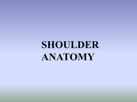 SHOULDER ANATOMY. BONY ANATOMY Humerus proximal end articulates with scapula to from shoulder distal end articulates with bones of the forearm to form.