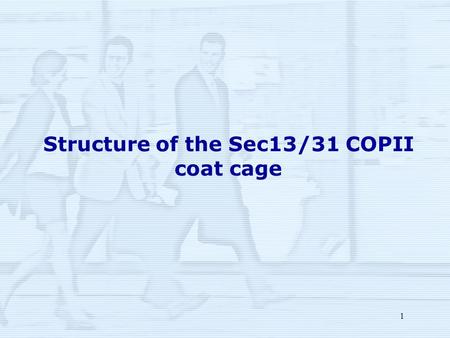 1 Structure of the Sec13/31 COPII coat cage. 2 Function of the COP II Mediate cargo export from ER to Golgi complex.