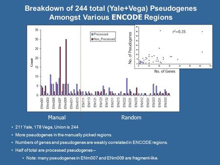 Breakdown of 244 total (Yale+Vega) Pseudogenes Amongst Various ENCODE Regions 211 Yale, 178 Vega, Union is 244 More pseudogenes in the manually picked.