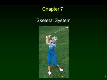 1 Chapter 7 Skeletal System. 2 Outline Tissues of the Skeletal System Bone Growth and Repair Bone Development Bone Repair Bones of the Skeleton – Bone.