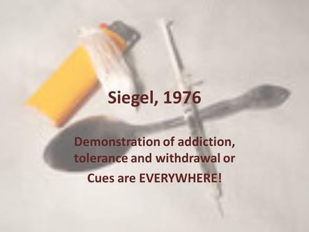 Siegel, 1976 Demonstration of addiction, tolerance and withdrawal or Cues are EVERYWHERE!