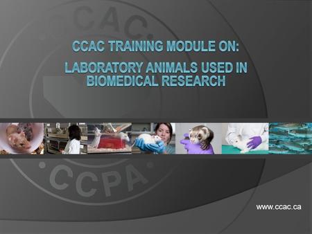 Www.ccac.ca.  This training module is relevant to all animal users working with animals housed in vivaria (enclosed areas such as laboratories) in biomedical.