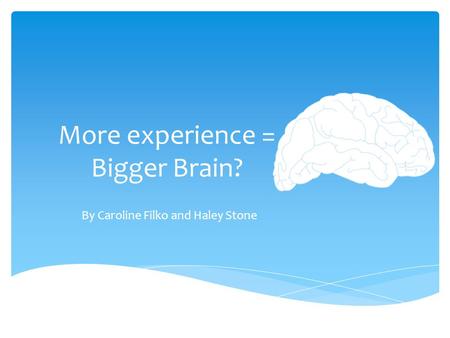 More experience = Bigger Brain?