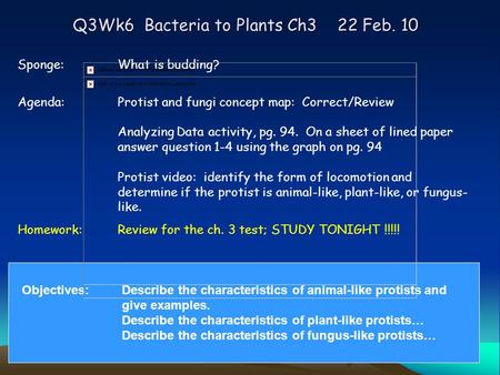 Q3Wk6 Bacteria to Plants Ch3 22 Feb. 10 Sponge:What is budding? Agenda:Protist and fungi concept map: Correct/Review Analyzing Data activity, pg. 94. On.