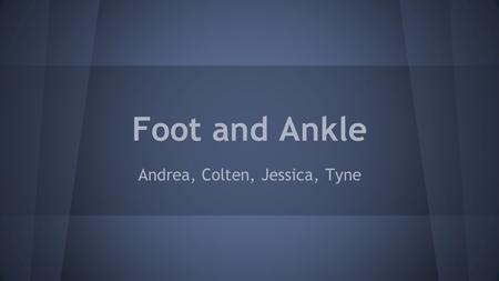 Foot and Ankle Andrea, Colten, Jessica, Tyne. Surface Anatomy.