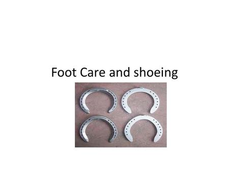 Foot Care and shoeing.