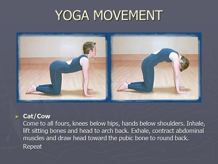 YOGA MOVEMENT ► Cat/Cow Come to all fours, knees below hips, hands below shoulders. Inhale, lift sitting bones and head to arch back. Exhale, contract.