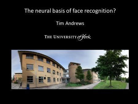 The neural basis of face recognition? Tim Andrews.