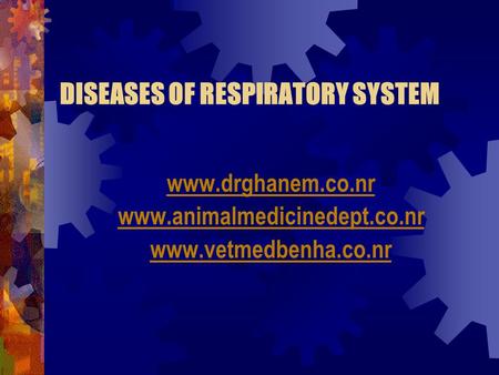 DISEASES OF RESPIRATORY SYSTEM www.drghanem.co.nr www.animalmedicinedept.co.nr www.vetmedbenha.co.nr.