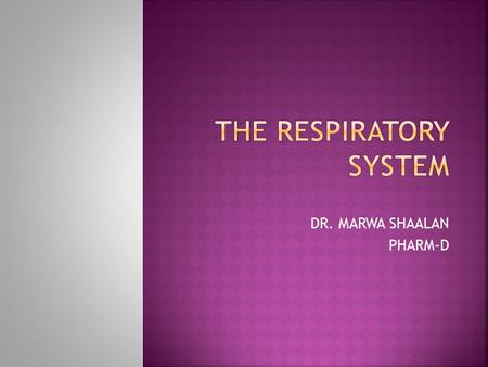 DR. MARWA SHAALAN PHARM-D.  Basic functions of the respiratory system  Breathing (Pulmonary Ventilation) – movement of air in and out of the lungs Inhalation.