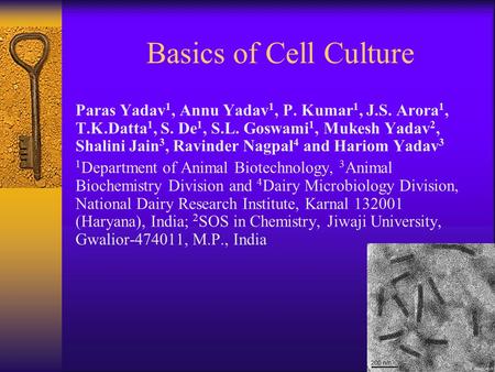 Basics of Cell Culture Paras Yadav1, Annu Yadav1, P. Kumar1, J.S. Arora1, T.K.Datta1, S. De1, S.L. Goswami1, Mukesh Yadav2, Shalini Jain3, Ravinder Nagpal4.