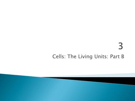 Cells: The Living Units: Part B.  Two types of active processes: ◦ Active transport ◦ Vesicular transport  Both use ATP to move solutes across a living.