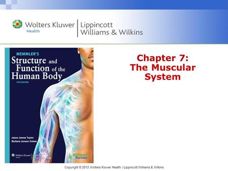 Copyright © 2013 Wolters Kluwer Health | Lippincott Williams & Wilkins Chapter 7: The Muscular System.