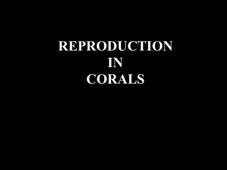 REPRODUCTION IN CORALS. Life history -sequence of developmental stages from birth to death Growth, Reproduction, Senescence, Mortality.