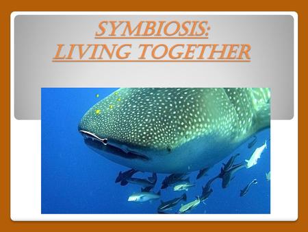 Symbiosis: Living Together