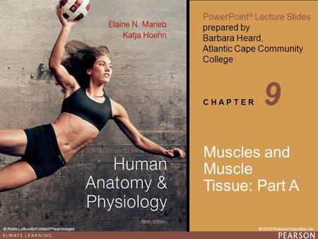 9 Muscles and Muscle Tissue: Part A.