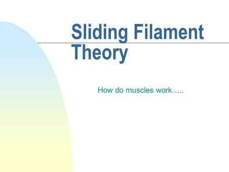 Sliding Filament Theory How do muscles work…... Muscle Cell Structure n Muscles are broken into smaller muscle fibers n muscle fibers are broken into.