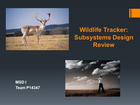 Wildlife Tracker: Subsystems Design Review MSD I Team P14347.