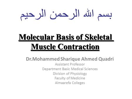 Molecular Basis of Skeletal Muscle Contraction Dr.Mohammed Sharique Ahmed Quadri Assistant Professor Department Basic Medical Sciences Division of Physiology.