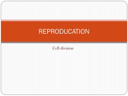 REPRODUCATION Cell division.