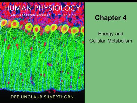 Energy and Cellular Metabolism
