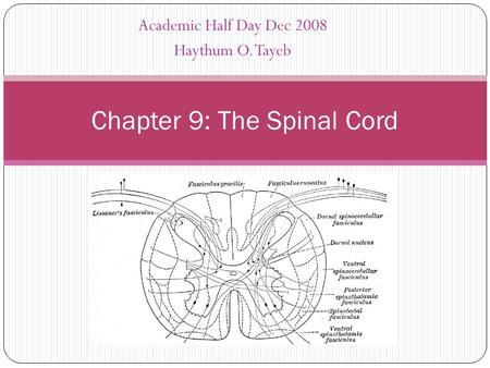 Academic Half Day Dec 2008 Haythum O. Tayeb Chapter 9: The Spinal Cord.