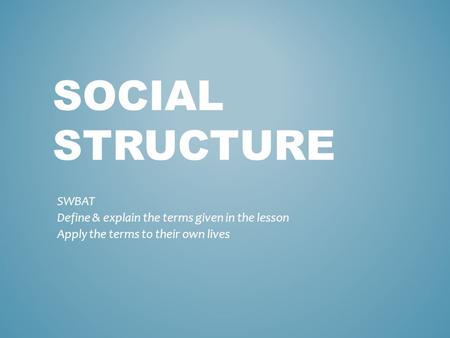 SOCIAL STRUCTURE SWBAT Define & explain the terms given in the lesson Apply the terms to their own lives.