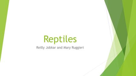 Reilly Jobkar and Mary Ruggieri
