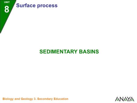 UNIT 8 Surface process Biology and Geology 3. Secondary Education SEDIMENTARY BASINS.