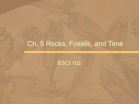 Ch. 5 Rocks, Fossils, and Time