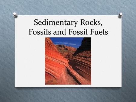 Sedimentary Rocks, Fossils and Fossil Fuels