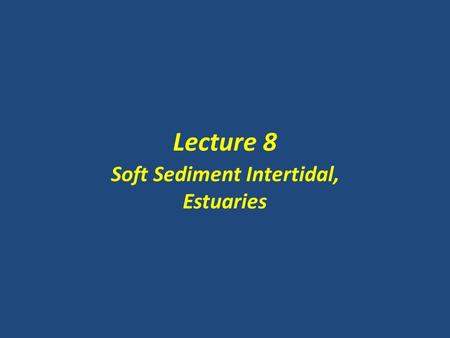 Soft Sediment Intertidal, Estuaries