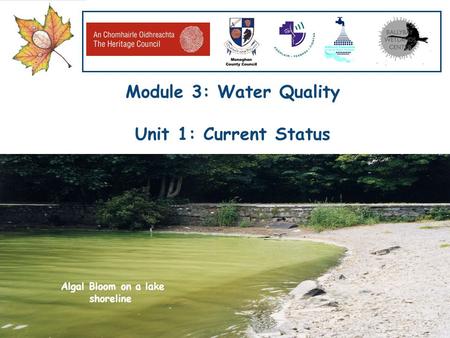 Our Water, Our Resource, Our Responsibility www.worldofwater.ie Module 3: Water Quality Unit 1: Current Status Algal Bloom on a lake shoreline.