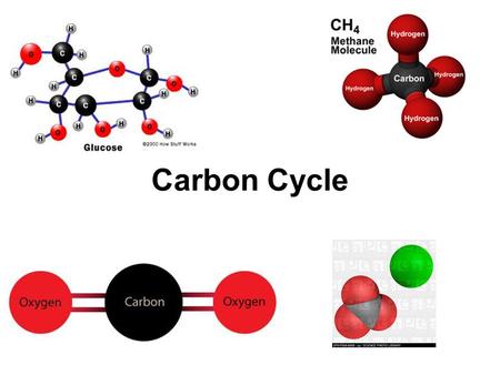 Carbon Cycle. Carbon Carbonic acid ( HCO 3 − ) Carbonate rocks (limestone and coral = CaCO 3 ) Deposits of Fossil fuels Carbon exists in the nonliving.