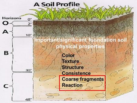 Important/significant foundation soil physical properties Color Texture Structure Consistence Coarse fragments Reaction.