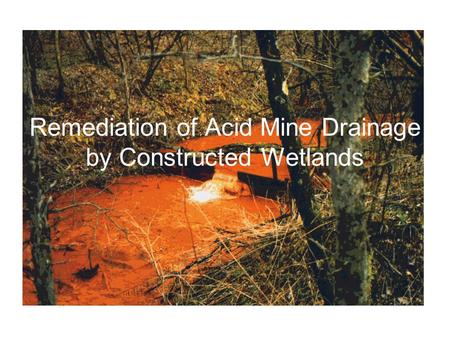Remediation of Acid Mine Drainage by Constructed Wetlands.