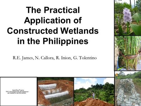 The Practical Application of Constructed Wetlands in the Philippines R.E. James, N. Callora, R. Inion, G. Tolentino.