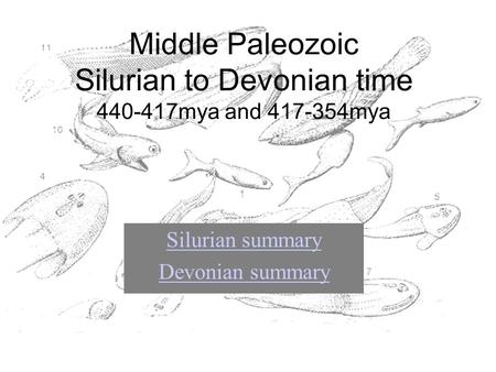 Middle Paleozoic Silurian to Devonian time 440-417mya and 417-354mya Silurian summary Devonian summary.