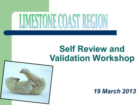 19 March 2013 Self Review and Validation Workshop.