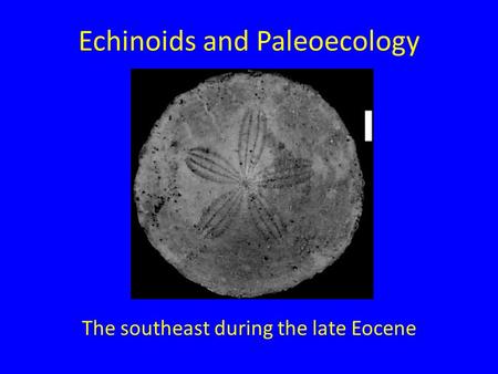 Echinoids and Paleoecology The southeast during the late Eocene.