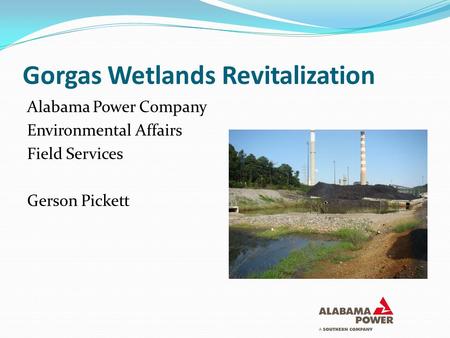 Gorgas Wetlands Revitalization Alabama Power Company Environmental Affairs Field Services Gerson Pickett.