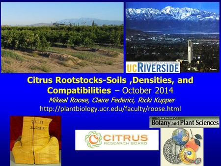 Citrus Rootstocks-Soils ,Densities, and Compatibilities – October 2014 Mikeal Roose, Claire Federici, Ricki Kupper http://plantbiology.ucr.edu/faculty/roose.html.