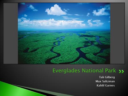 Tali Gilberg Max Saltzman Kahlil Garnes Everglades National Park.