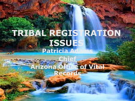 TRIBAL REGISTRATION ISSUES Patricia Adams Chief Arizona Office of Vital Records.